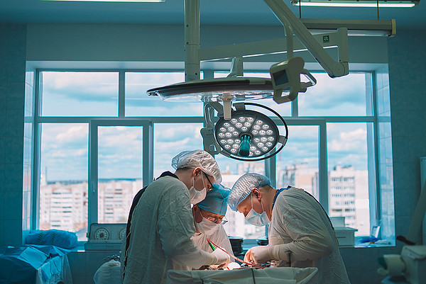 ����-31 (1). 