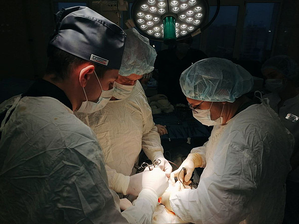 photo_2024-11-02_10-59-33. 