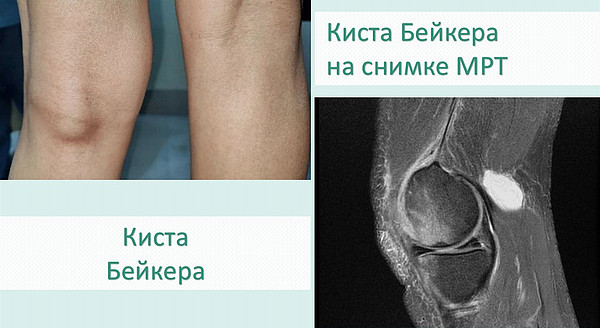 ����� �������__2. 