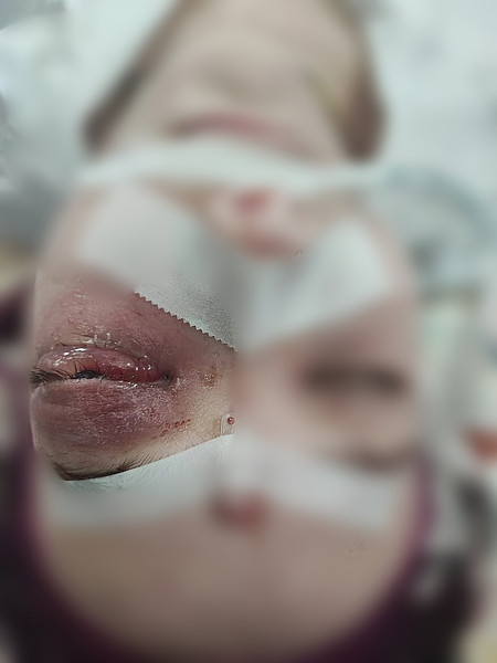 IMG_20240829_072228. 