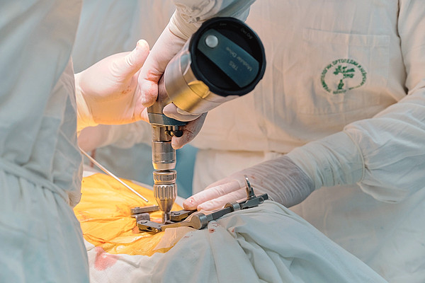 ��������� �������������_. 