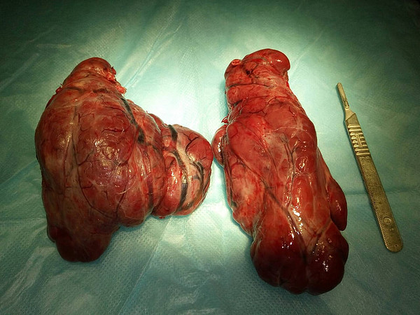 WhatsApp Image 2022-02-03 at 16.11.49. 