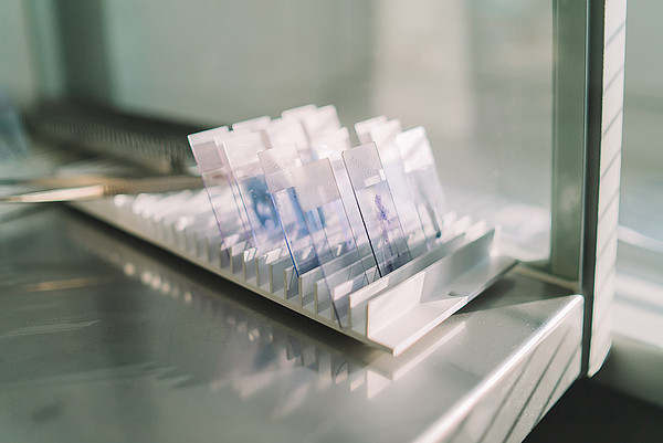 ����-52 (1). 