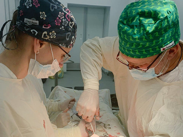 IMG_20230203_100536. 