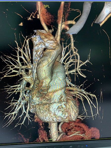 IMG-20211226-WA0001. 